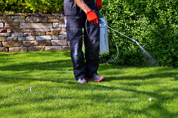 Reliable Prairie Ridge, WA Pest Control Solutions